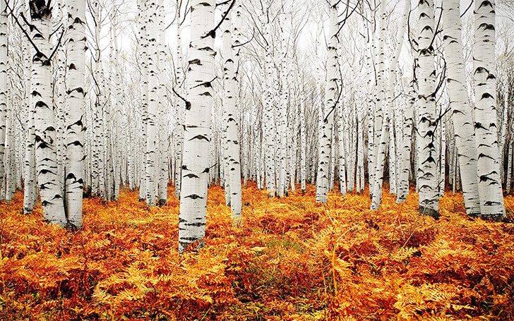 Photos Of Extraordinary Things 45 Of The Rarest Natural Wonders Of The 