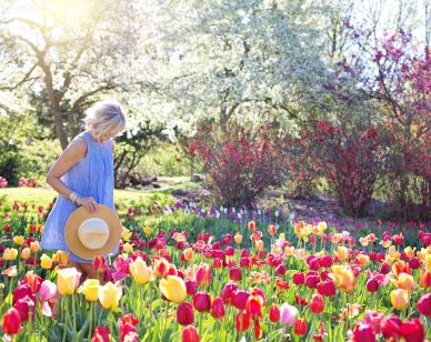 Gardening benefits